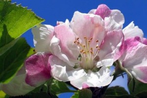 Swooping in, pulling out &#8211; a psychic distance starter guide